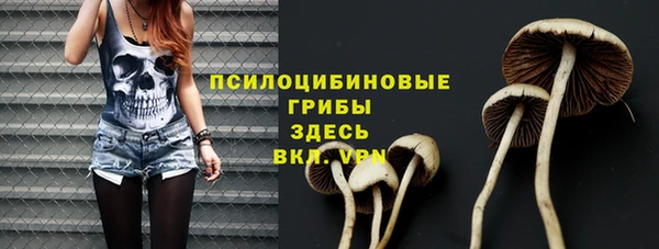ALPHA-PVP Алексин
