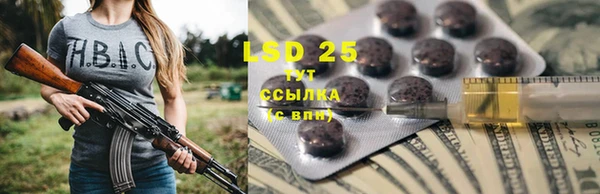 ГАЛЛЮЦИНОГЕННЫЕ ГРИБЫ Алексеевка