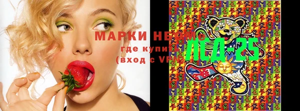 дурь Алзамай