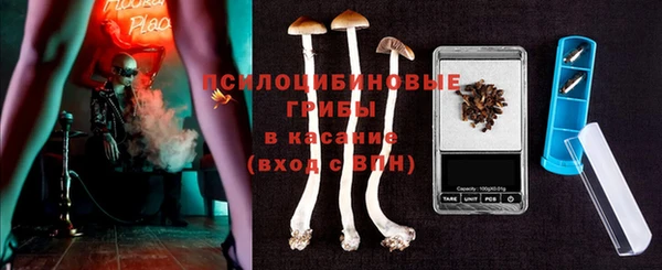 дурь Алзамай